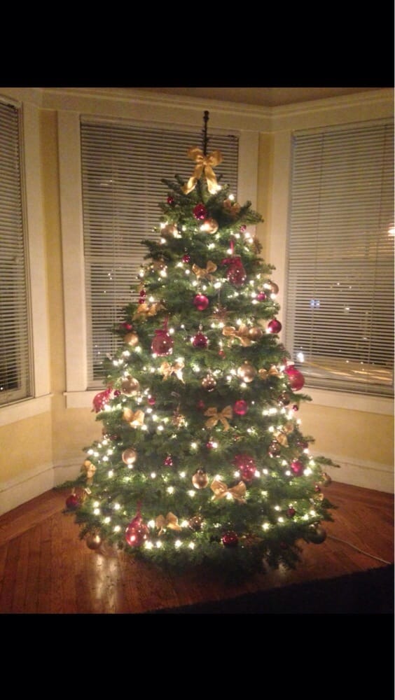 photos for delancy street christmas trees yelp photos for delancy street christmas trees yelp