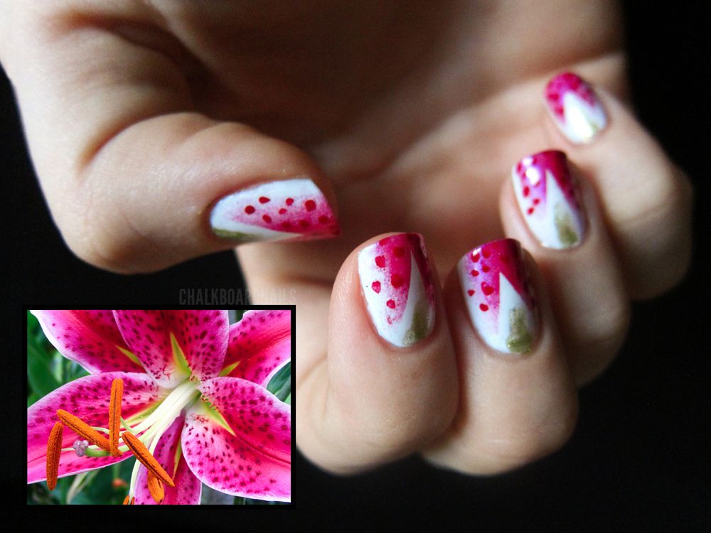 Lily Nails 15 Photos & 16 Reviews Nail Salons 802 SE Oralabor Rd