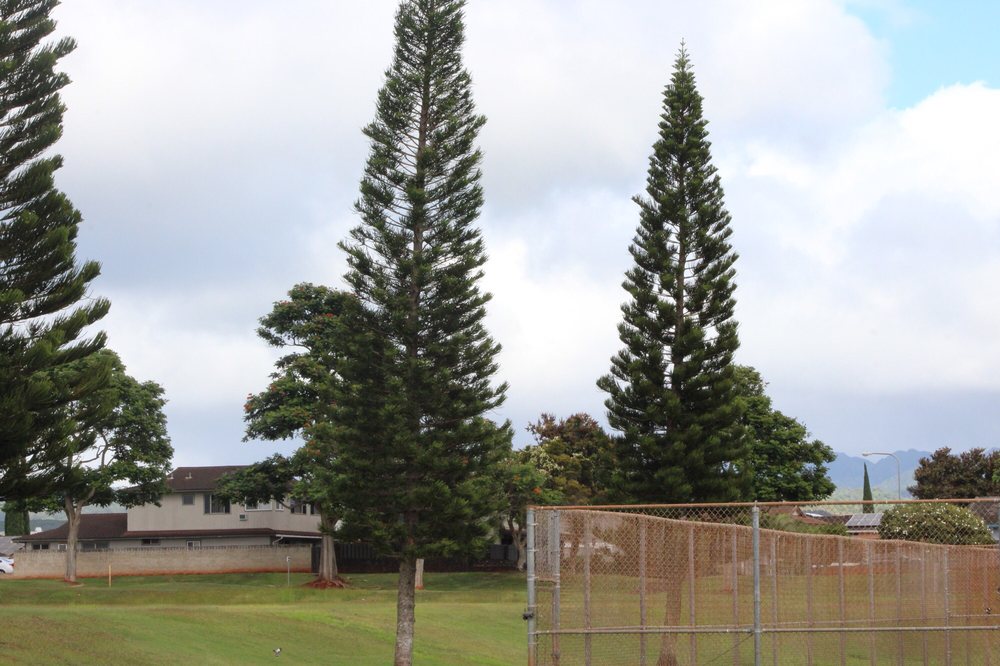 Waipio Community Park