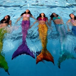 Myrtle Beach Mermaids The Best Beaches In World Myrtle Beach Mermaids Water Parks 910 17 S Business Surfside