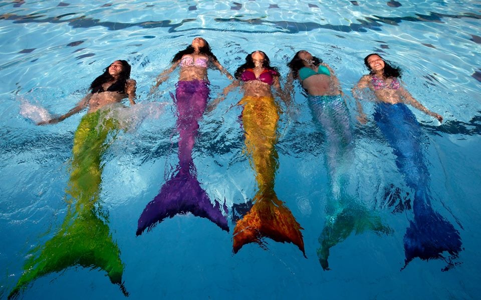Mermaid Swim Cles Yelp Photo Of Myrtle Beach Mermaids Surfside Sc United States Mermaid Swim