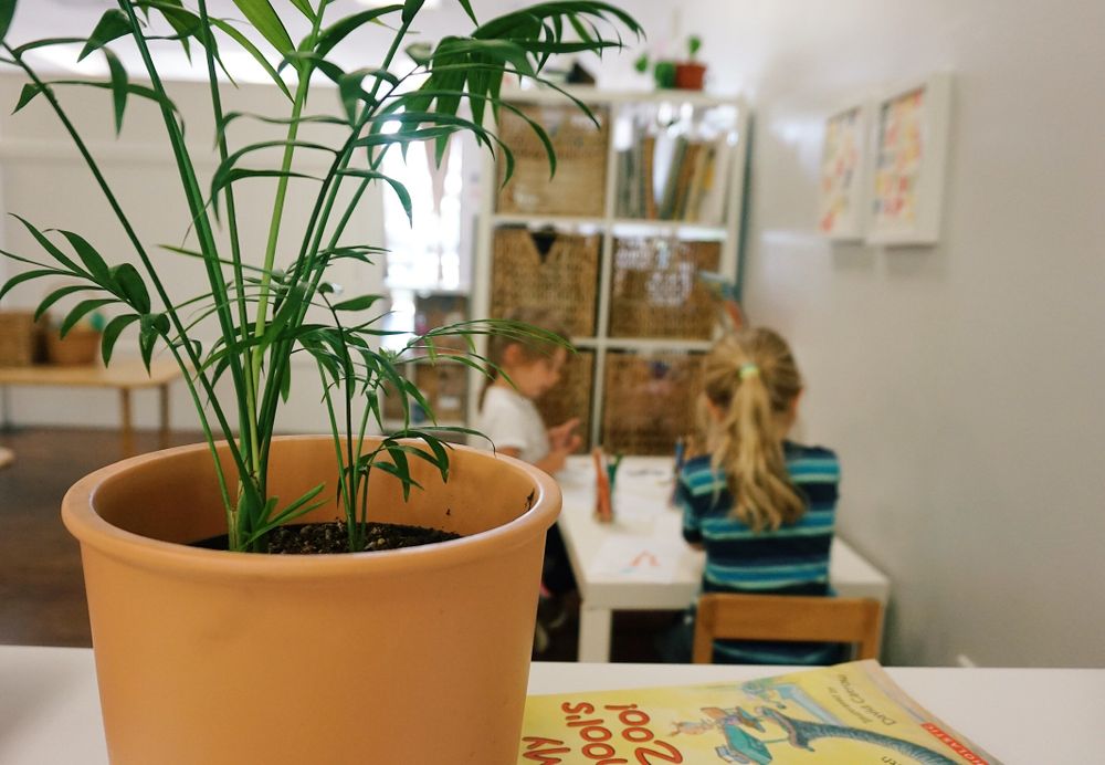 Little Sprouts/Learning Jungle - Mission Gorge