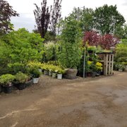 Springlake Nursery 14 Photos Nurseries Gardening 3023 Photo Of Springlake Nursery Perry Oh United States