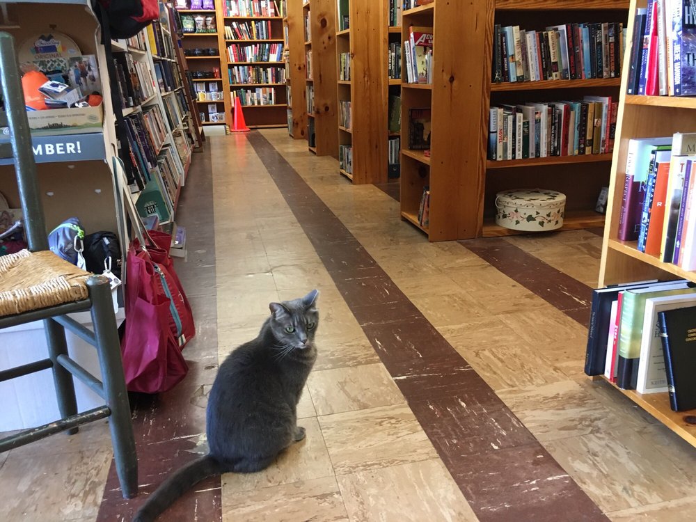 Book Buyers 26 Photos & 66 Reviews Bookstores 1306 The Plz, Plaza Midwood, Charlotte, NC