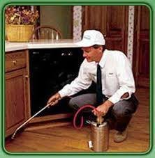 Royal Pest Service