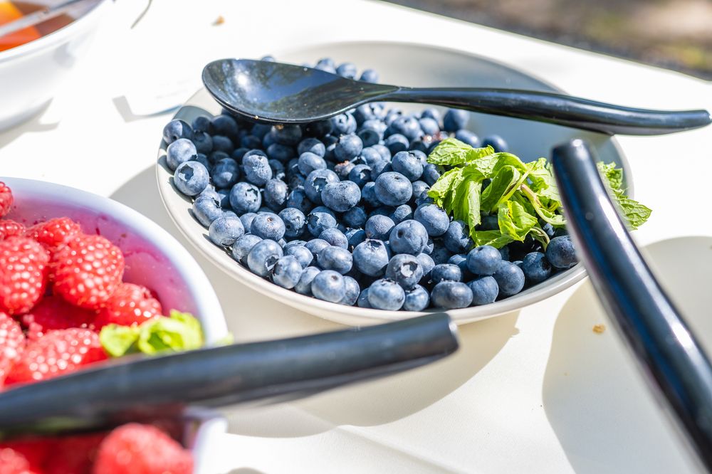 WHYLD’s Vegan Kitchen