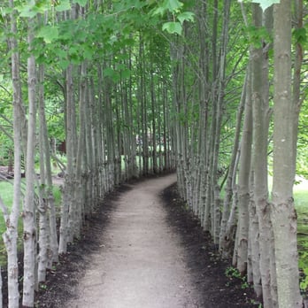 Grounds For Sculpture - 720 Photos & 231 Reviews - Museums - 80