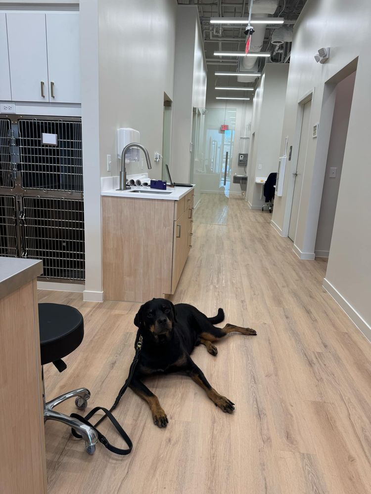 Petfolk Veterinary & Urgent Care - Kennesaw