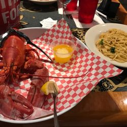 Shells Carrollwood 96 Photos 80 Reviews Seafood 14380 N Photo Of Shells Carrollwood Tampa Fl United States