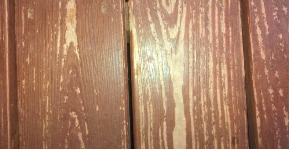 CertaPro Painters of North Raleigh, NC