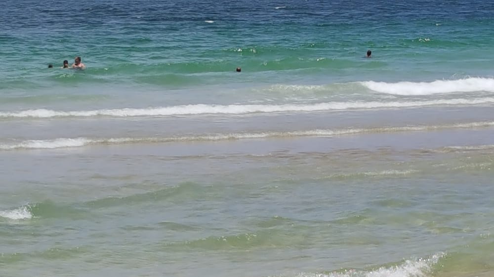 Sebastian Beach 11 Photos & 15 Reviews Beaches 1 N Fort Lauderdale Beach Blvd, Fort