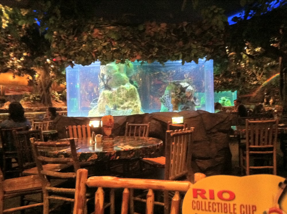 Rainforest Cafe CLOSED 89 Photos & 149 Reviews American