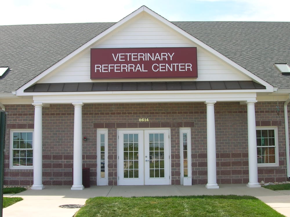 Veterinary Internal Medicine