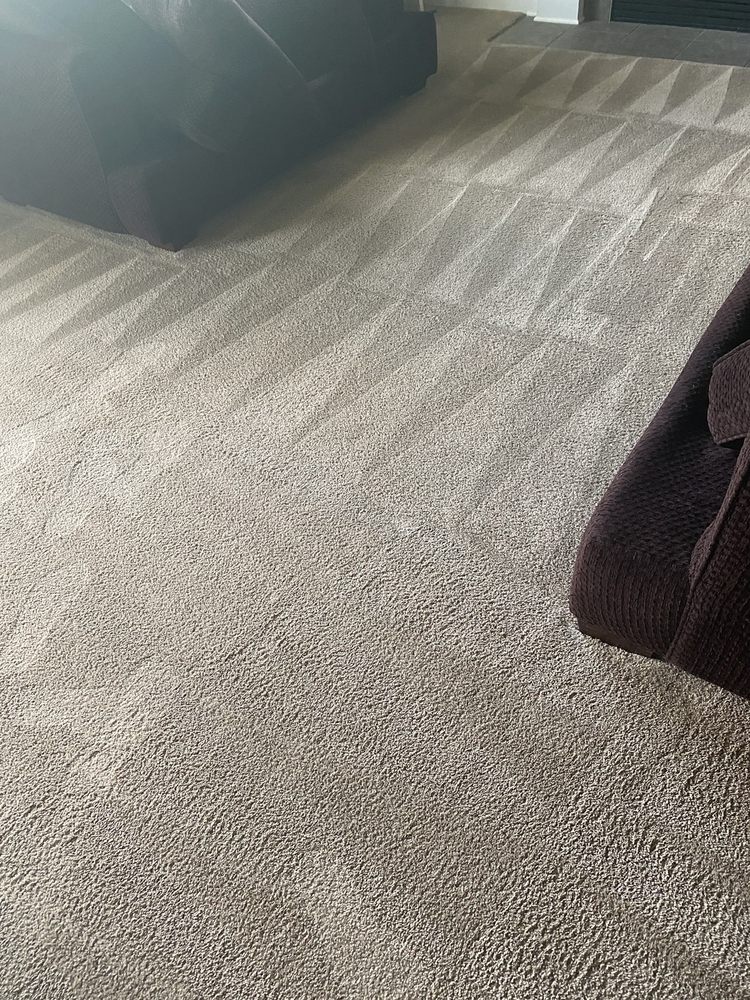 Williams Carpet Care