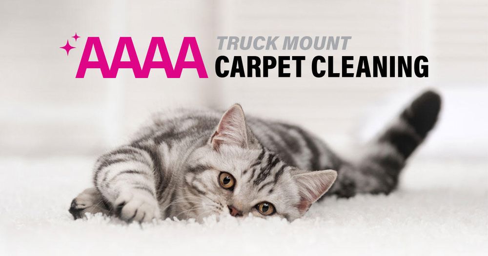AAAA Truck Mount Carpet Cleaning