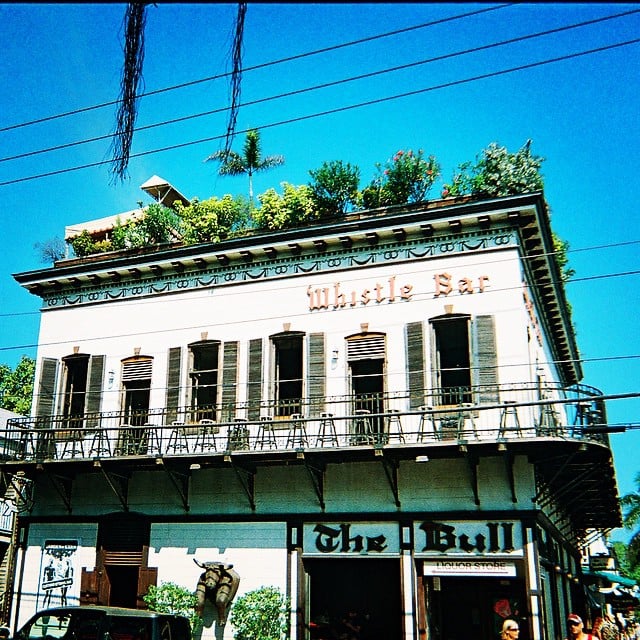 The Bull & Whistle Bar 101 Photos & 122 Reviews Bars 224 Duval St