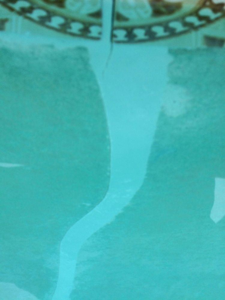 Underwater Unlimited 19 Photos Pool & Hot Tub Service 281 1/2