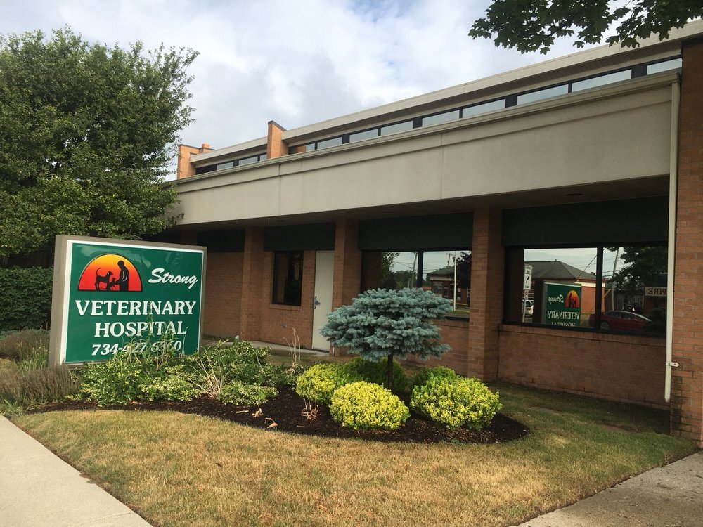 Strong Veterinary Hospital 20 Reviews Veterinarians 29212 Five Mile Rd, Livonia, MI