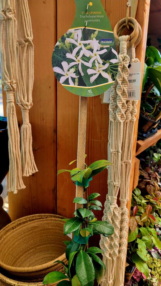 West Seattle Nursery