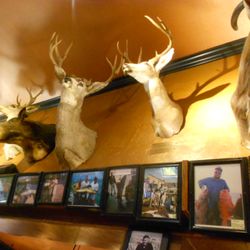 The Best 10 American Traditional Restaurants Near Dixon Ca 95620 Bud S Pub Grill