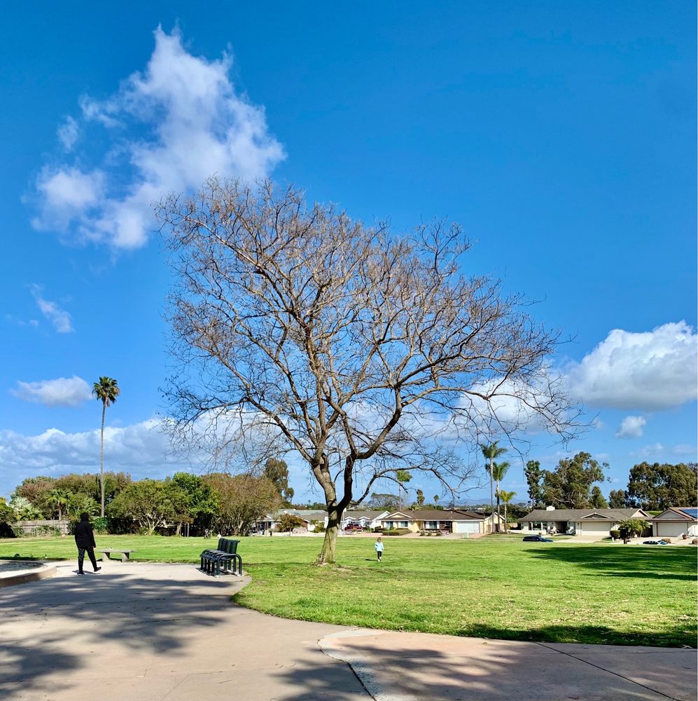 Marcy Park