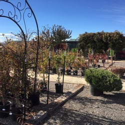 J K Llamas Landscape Nursery Inc Nurseries Gardening 3981 Photo Of J K Llamas Landscape Nursery Inc Fallon Nv United States