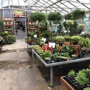 Mostardi Nursery 18 Reviews Nurseries Gardening 4033 W One Of The Photo Mostardi Nursery Newtown Square Pa United States