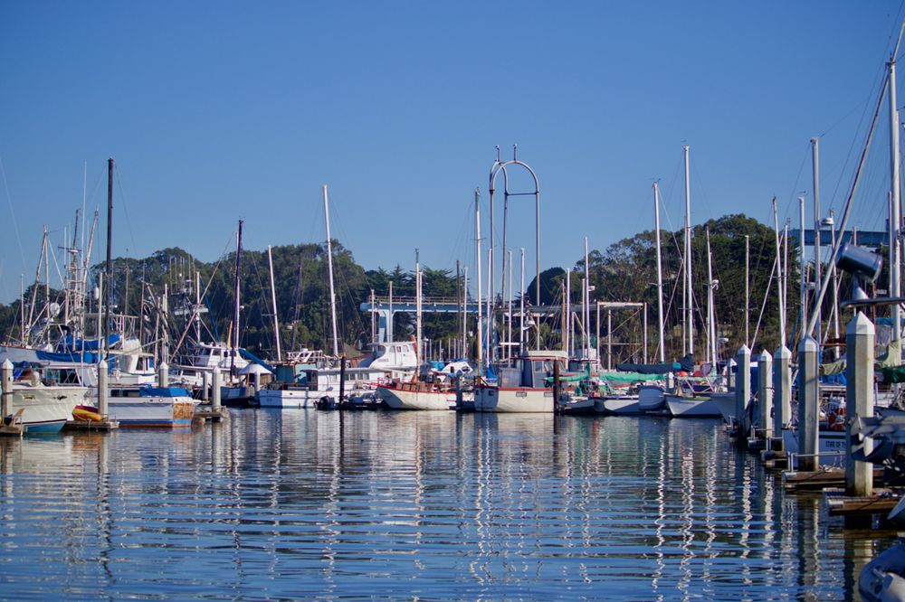 Moss Landing Harbor District 68 Photos Community Service/NonProfit