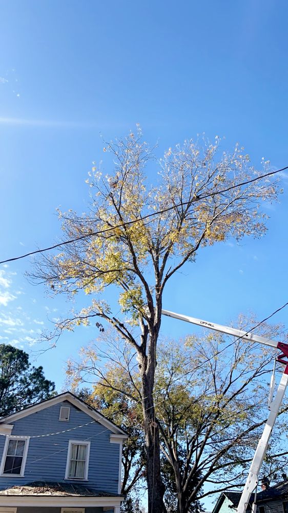 L&L Tree Service