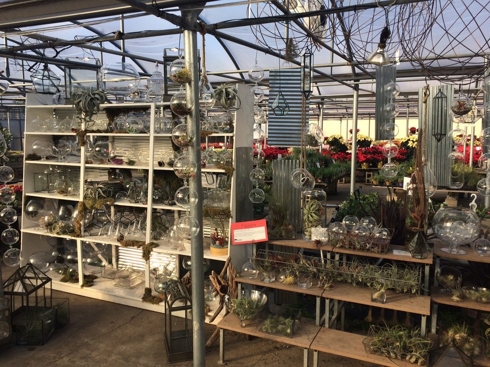 Family Tree Nursery 92 Photos & 28 Reviews Nurseries & Gardening