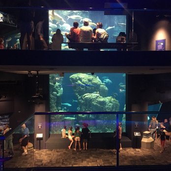 south carolina aquarium 651