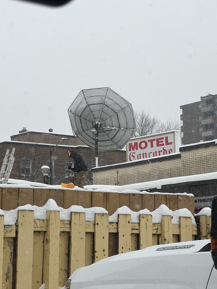 Concorde Motel