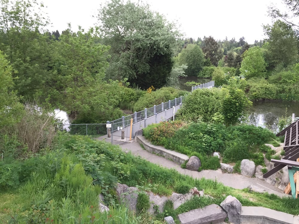 Meadowbrook Pond 13 Photos Parks 35TH Ave NE, Seattle, WA Phone