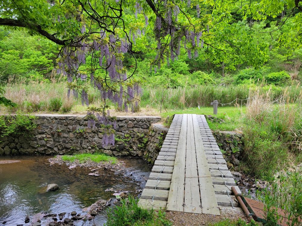 亀岡市 Activity Gift Cards Giftly