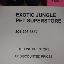 exotic jungle pet stores 1716 mileground rd exotic jungle pet stores 1716 mileground rd