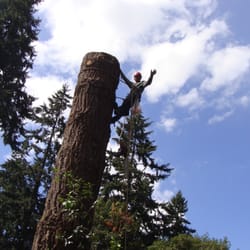 Quality Tree Service 203 Photos Services Oregon City Or Photo Of Quality Tree Service Oregon City Or United States