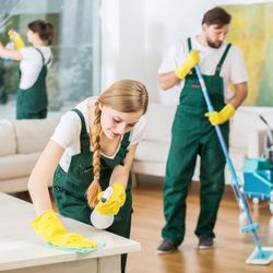 the owlam professional house cleaning 21 reviews home cleaning professional home cleaning
