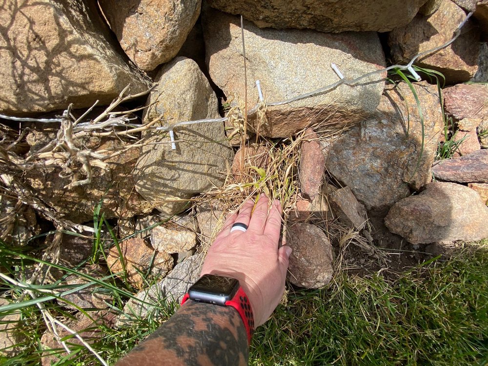 Lawn Doctor of Spokane