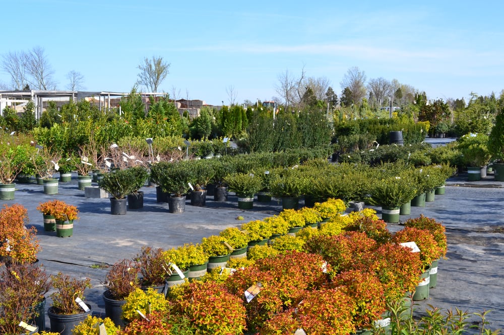Greenworks Garden Center