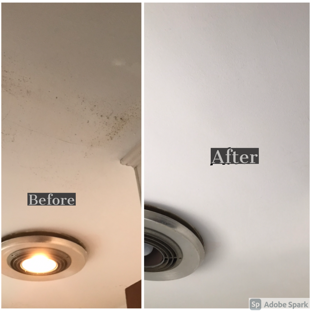 image of business Happy Holmes Renovations