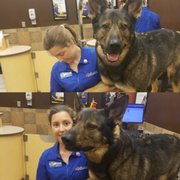 petsmart bather