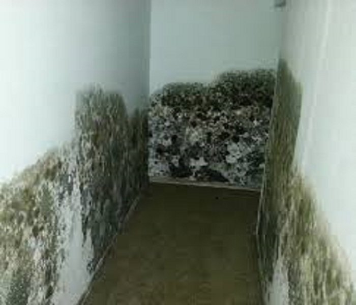 Servpro
