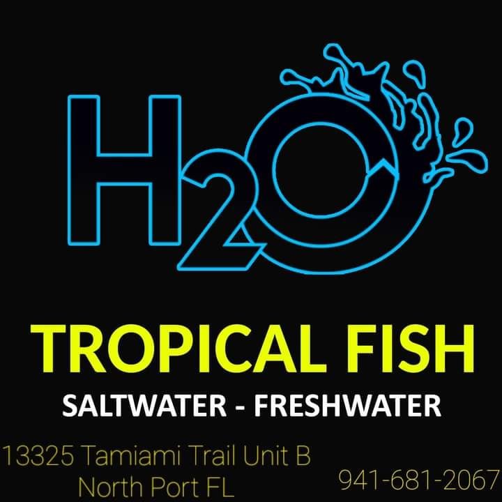 H2O Tropical Fish Image