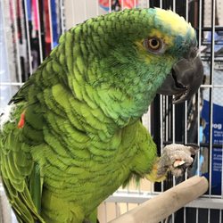 pet care center slauson