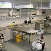 Photo of Gregory Hills - Macarthur Vet Group - Gregory Hills New South Wales, Australia. Treatment Room