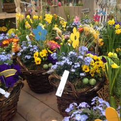 Gartencenter Rostock Elmshorn