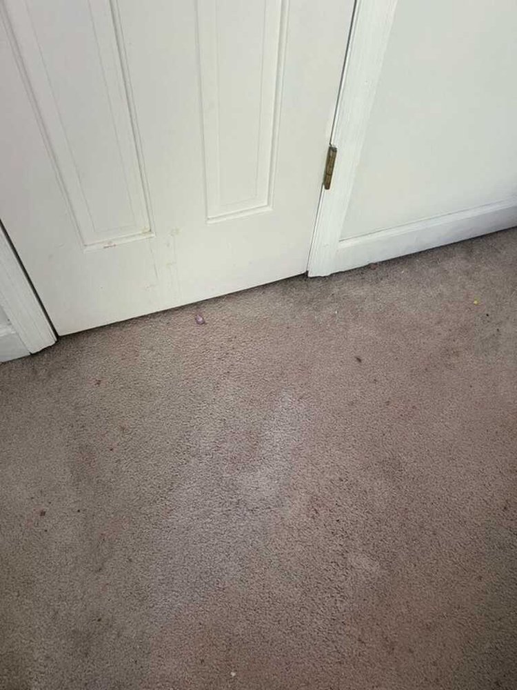 Ann Marie's Cleaning Service