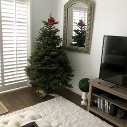 Delancey Street Foundation Christmas Tree Lot Holiday