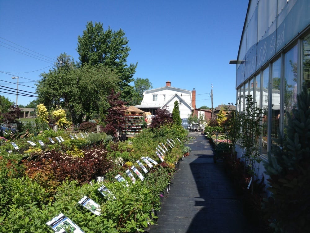 Passion Jardins Nurseries & Gardening 999 Av SaintCharles