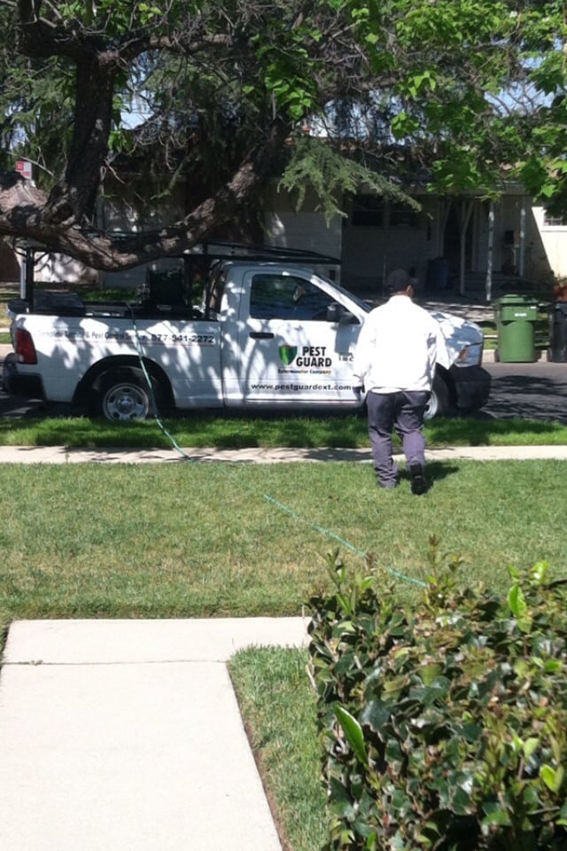 Pest Guard Exterminator Company 31 Reviews Pest Control Valley